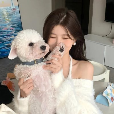 天使航班