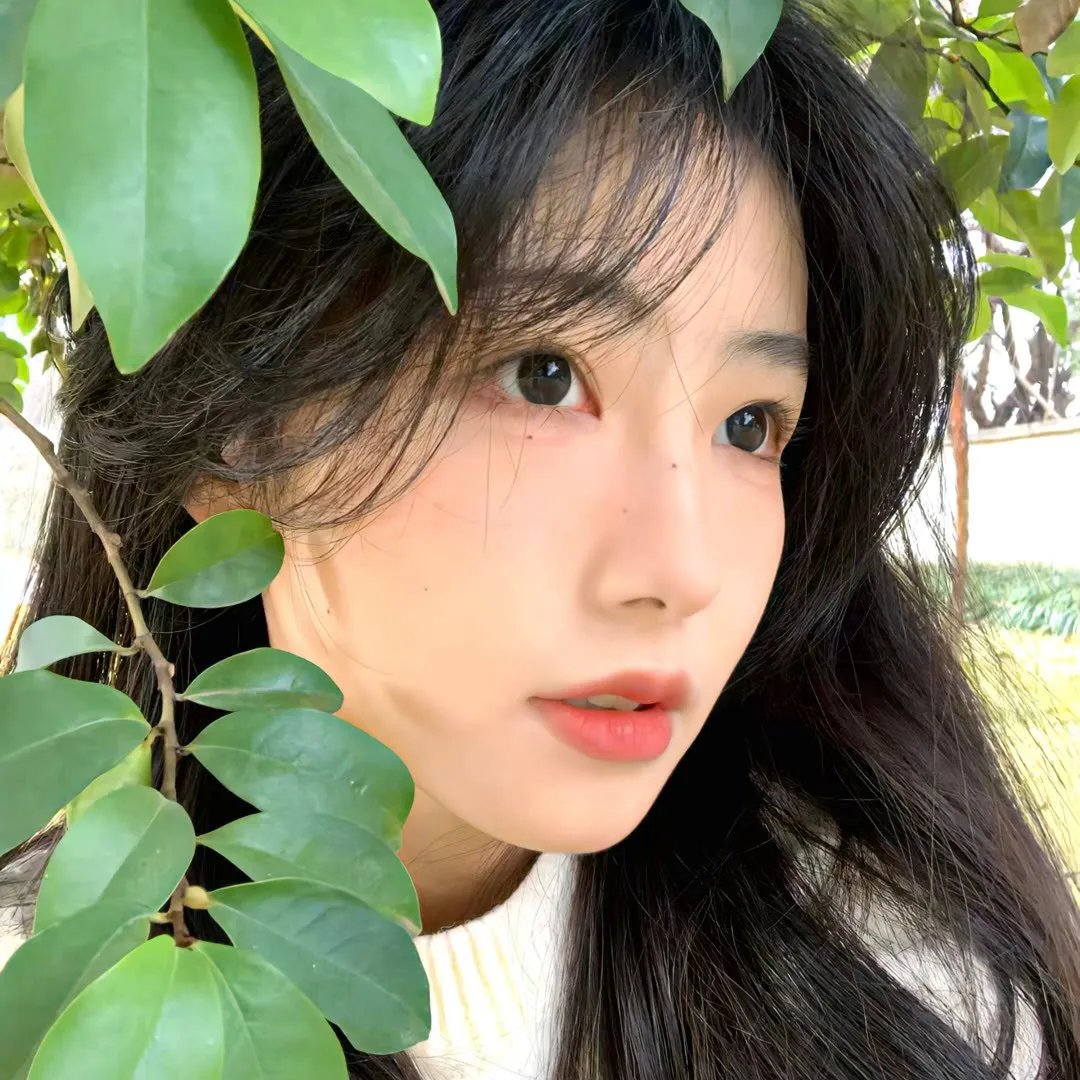 一样的世界